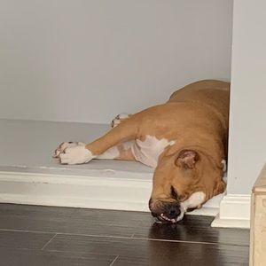 Meet your Posher, Ne-Ne